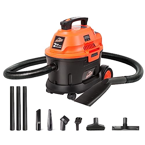 Best Wet And Dry Vacuum Cleaner for Car Detailing