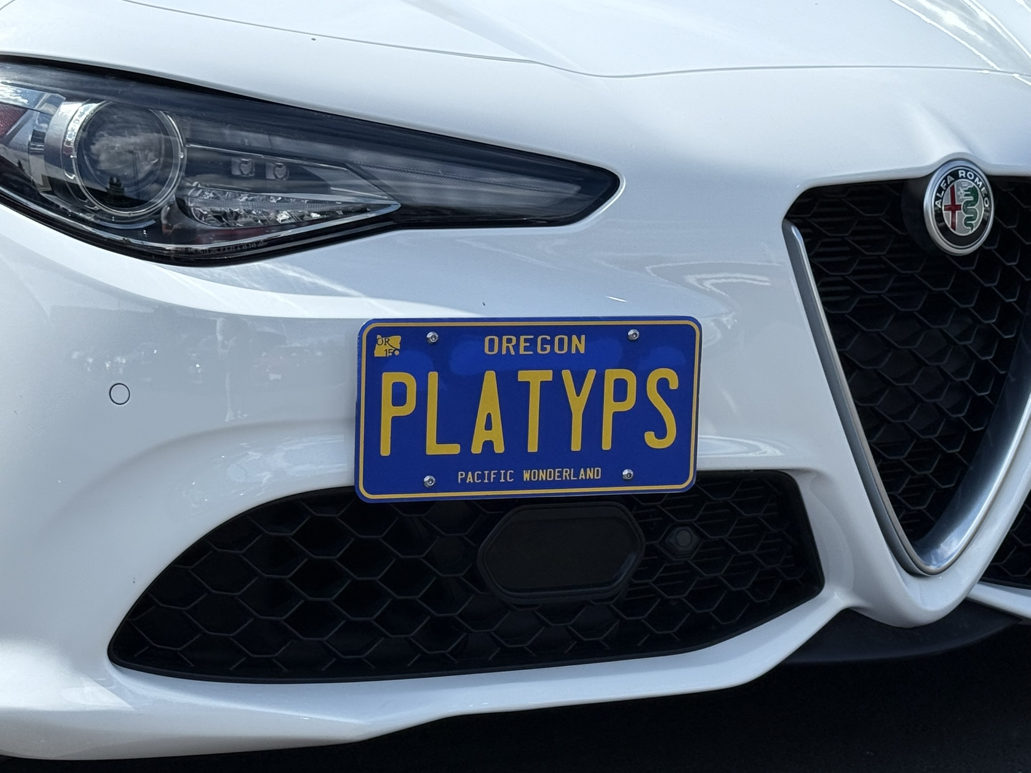 How To Install Front License Plate On Alfa Romeo Giulia: Easy Step-by-Step Guide
