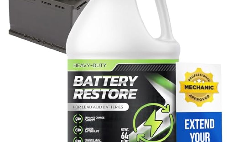 Best Car Battery for Winter Without Acid Instead Gel – Safe & Reliable