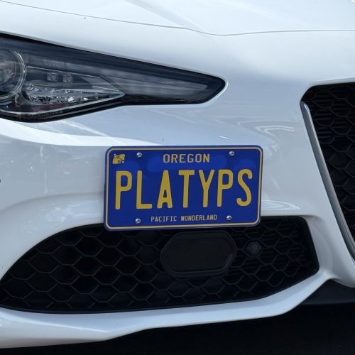 How To Install Front License Plate On Alfa Romeo Giulia: Easy Step-by-Step Guide