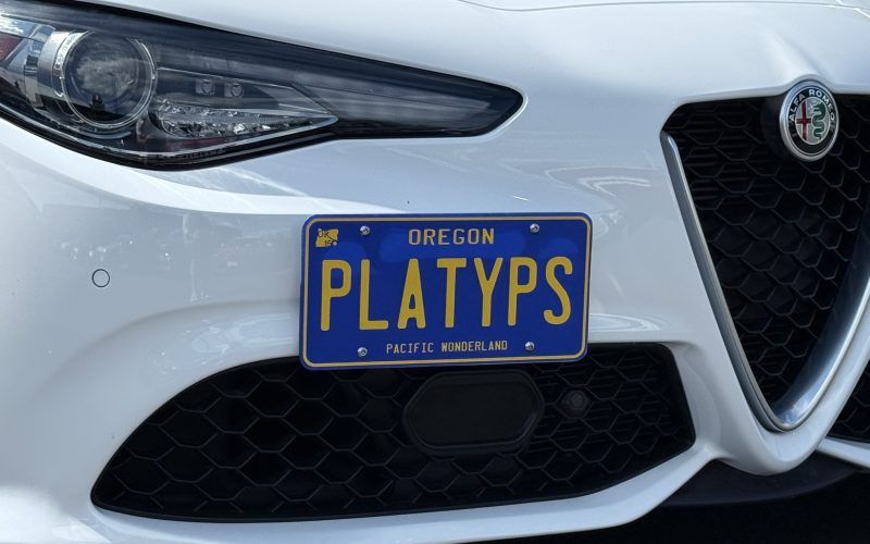 How To Install Front License Plate On Alfa Romeo Giulia: Easy Step-by-Step Guide